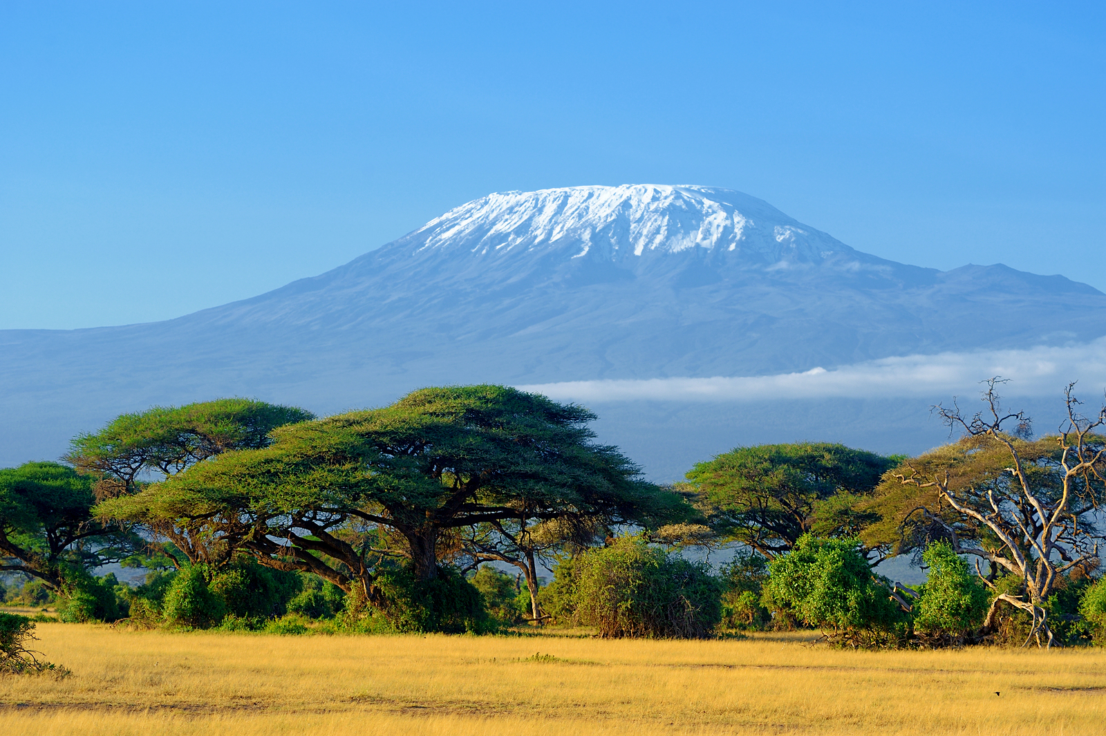 8 Nights, 9 Days Mt Kilimanjaro Machame Route - Go Places Holidays
